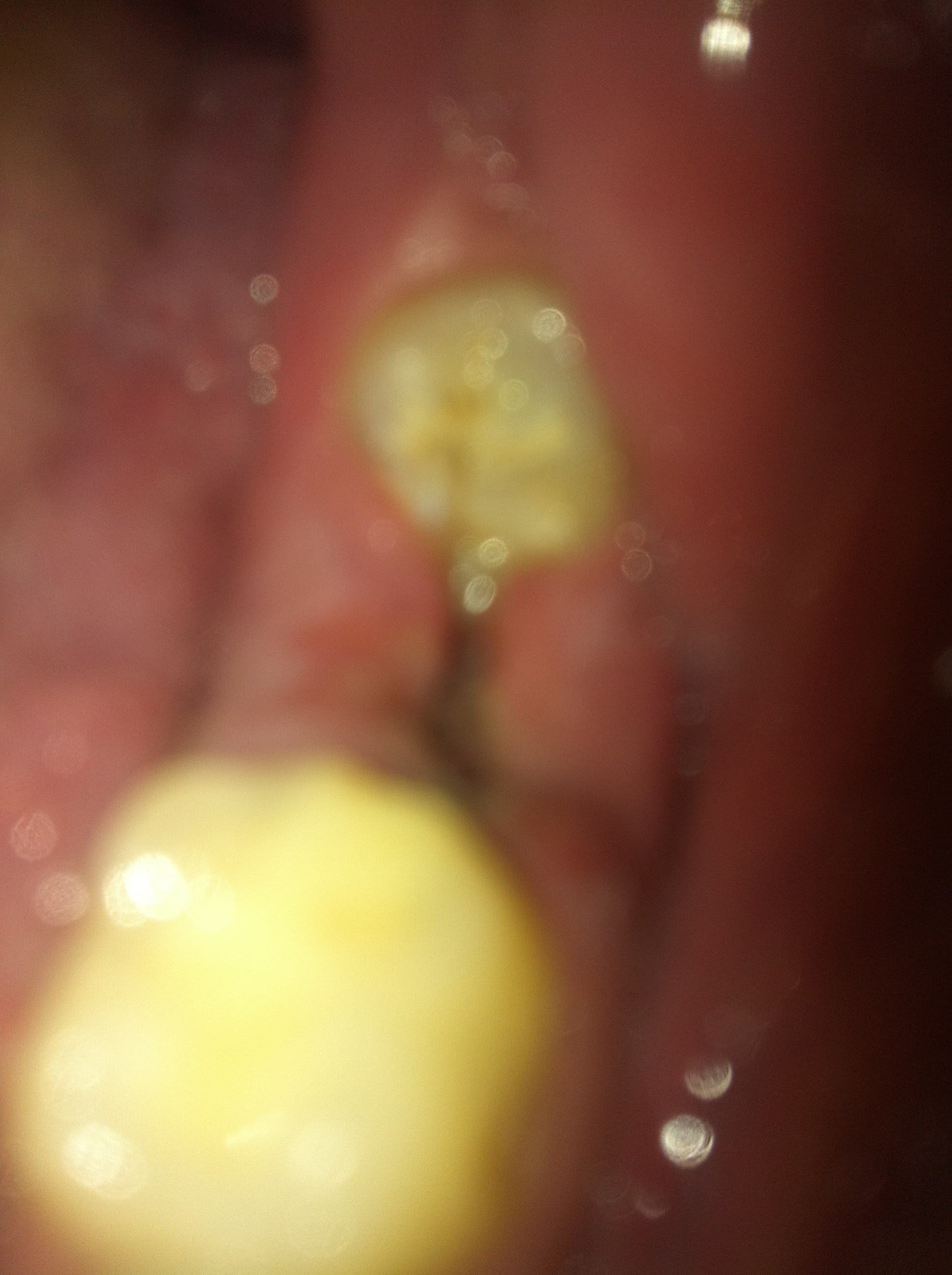 healing-wisdom-tooth Images - Frompo - 1