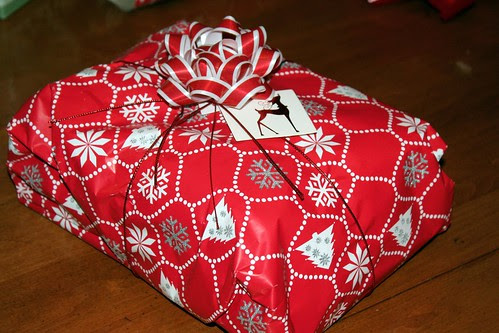 wrapped gift 027