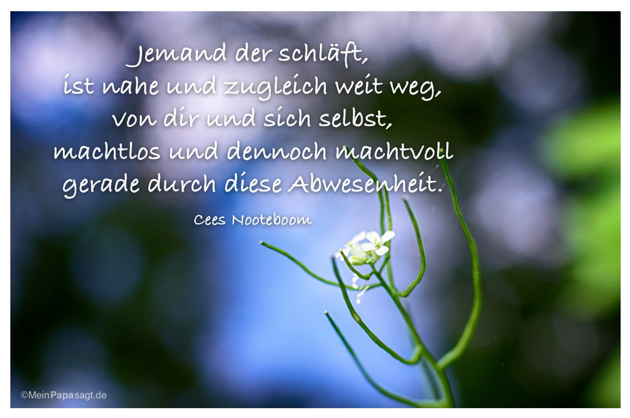 Buddha Zitate Geburtstag
