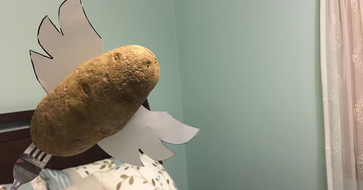 ¡Oye! 17+ Raras razones para el A Potato Flew Around My Room: A potatoe