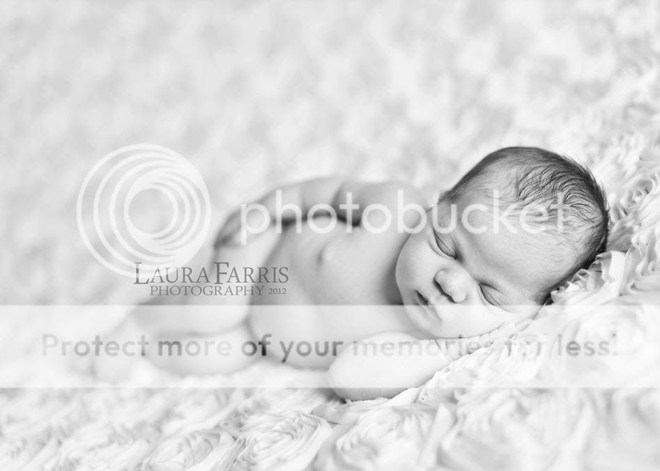 boise area newborn baby photographers