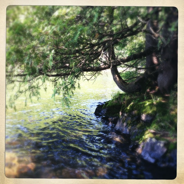 first day of summer hike!