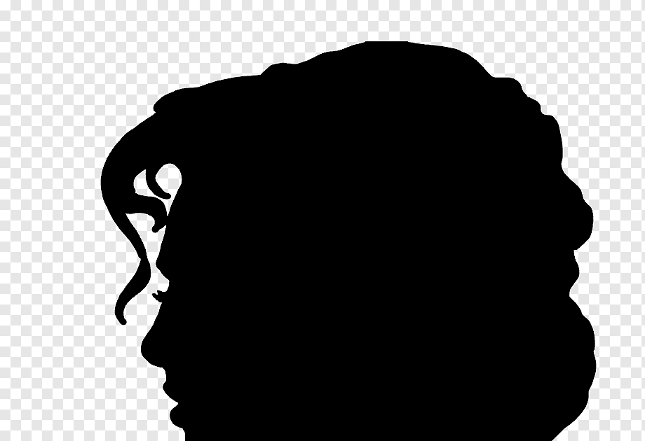 Gambar Siluet Wanita Berhijab Png 50+ Gambar Siluet Wajah, Hewan