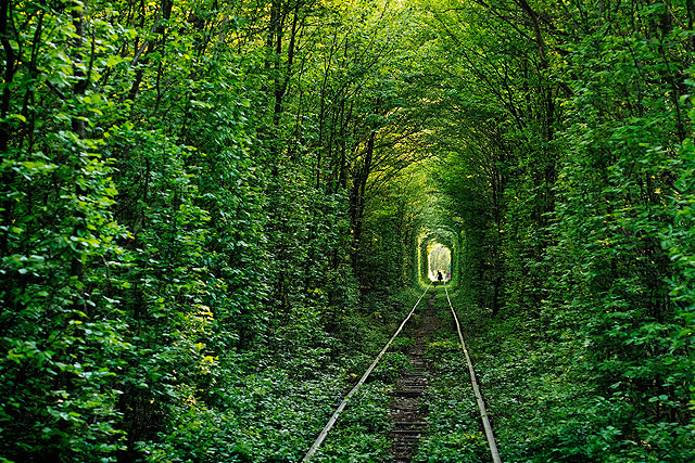 tunel