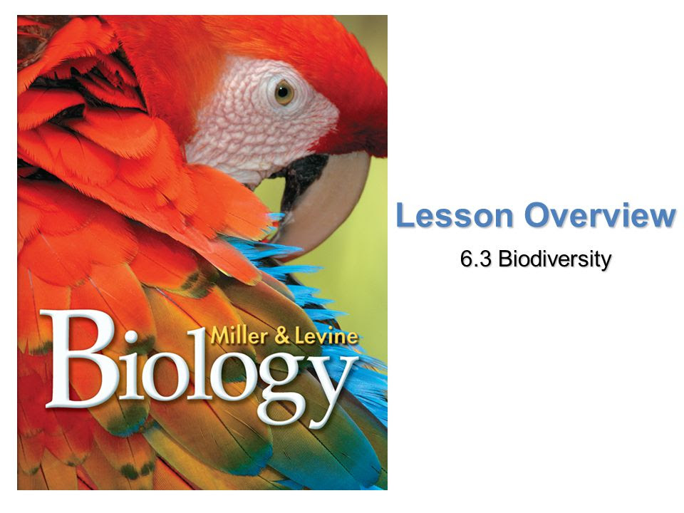 6 3 Biodiversity Worksheet Answers - Escolagersonalvesgui