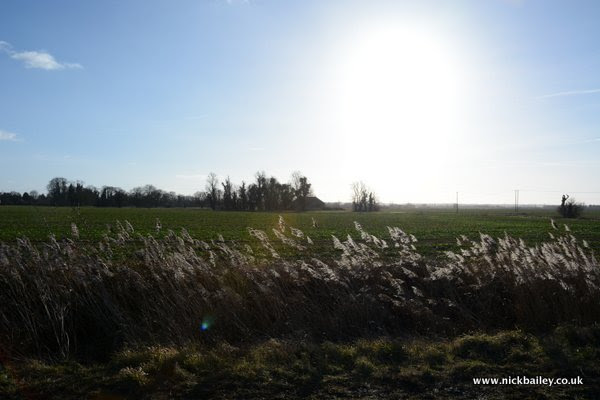 Cambridgshire Fenland near Histon. © Nick Bailey