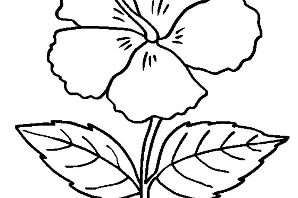 gambar bunga raflesia untuk mewarnai Bunga mewarnai raflesia sketsa ...