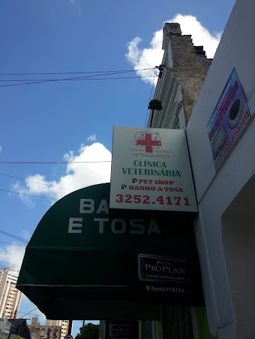 Avaliações sobre Pronto Socorro Veterinário em Fortaleza - Veterinário