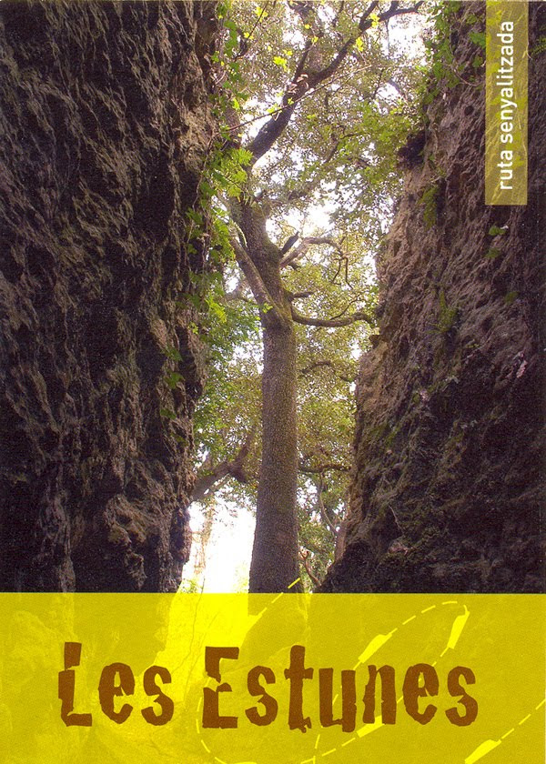El Bosque de les Estunes se encuentra formado por cuevas de piedra travertina que conforman un paisaje misterioso muy especial El Bosque de les Estunes se encuentra formado por cuevas de piedra travertina que conforman un paisaje misterioso muy especial