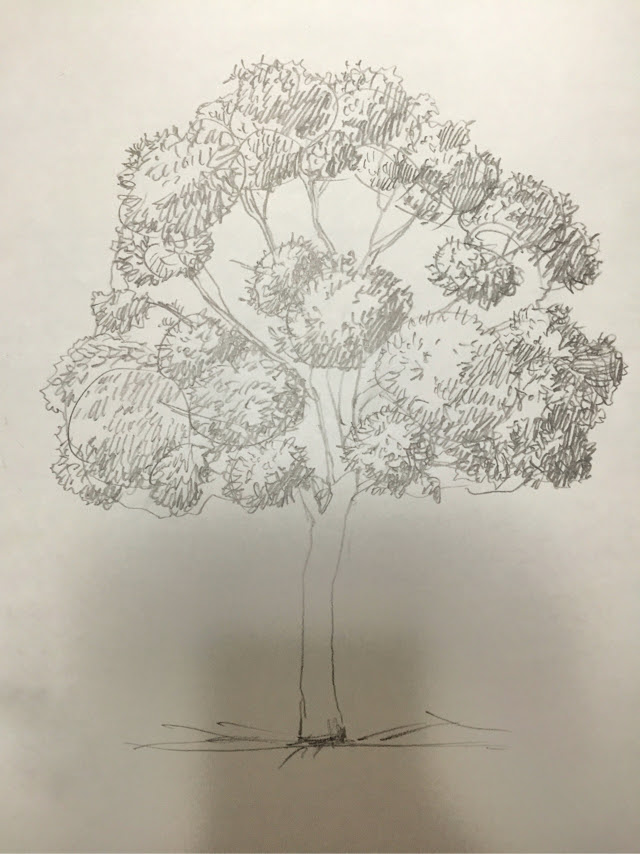 トップ100デッサン し やすい 花 最高の花の画像