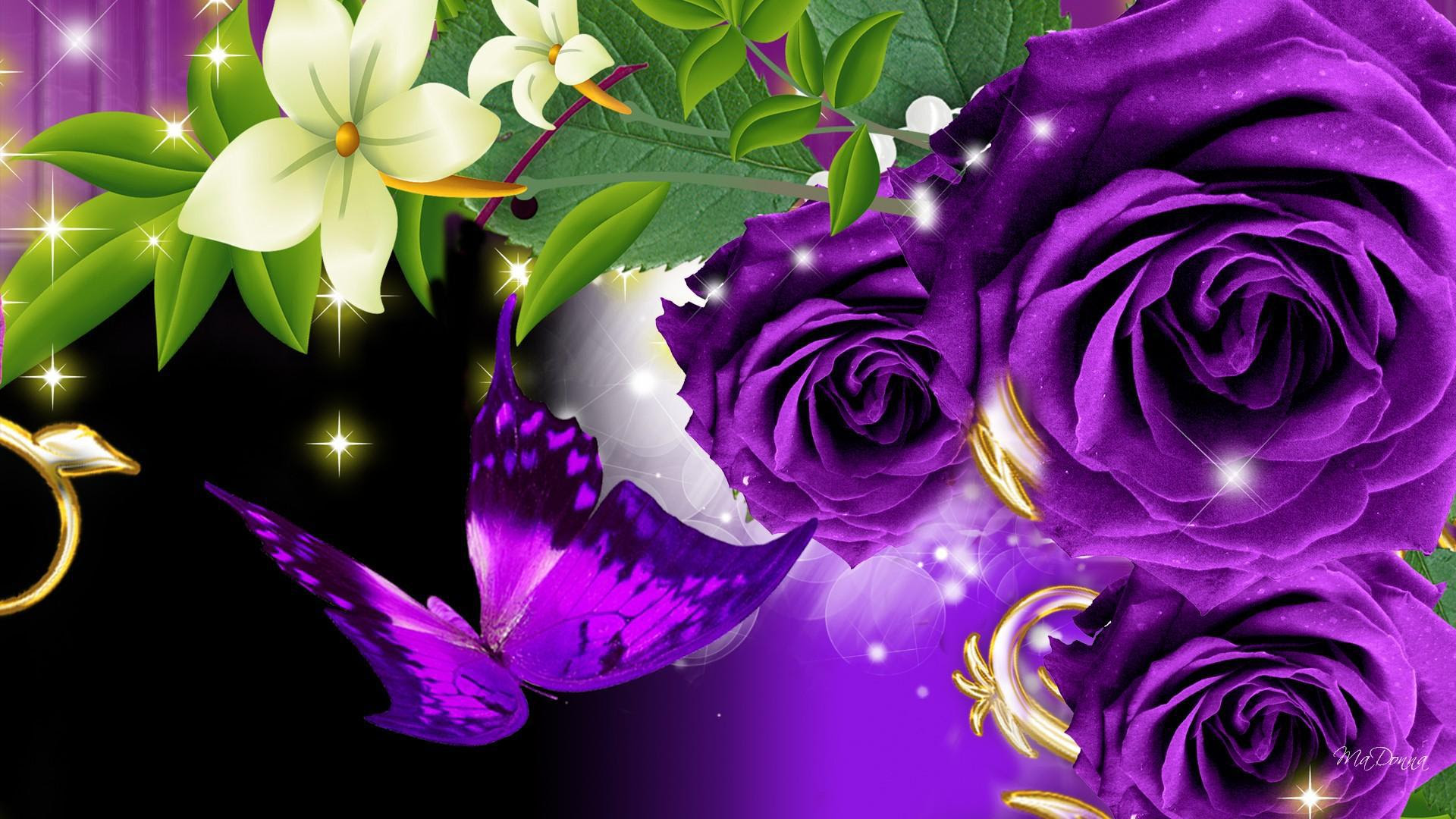 Purple roses and butterfly on a black background ...
