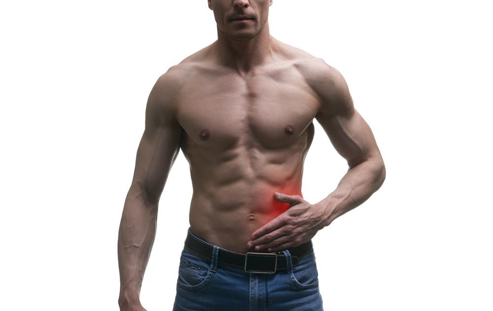 Muscles In Lower Left Abdomen : Muscles In Lower Left Abdomen : A