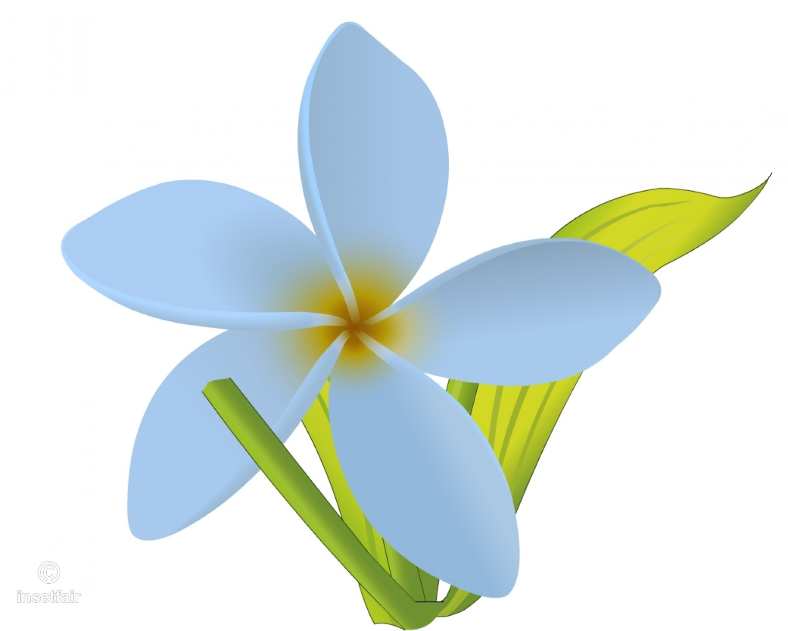 Download 72 Background Bunga Melati Vector HD Gratis Download Background