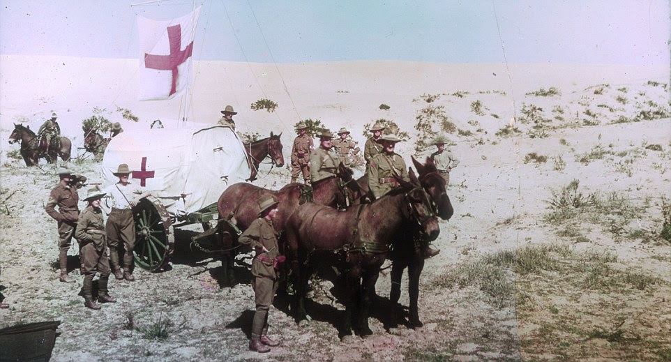 Of the 130,000 horses sent to battle in WWI only one horse, named Sandy, made it back to Australian shores