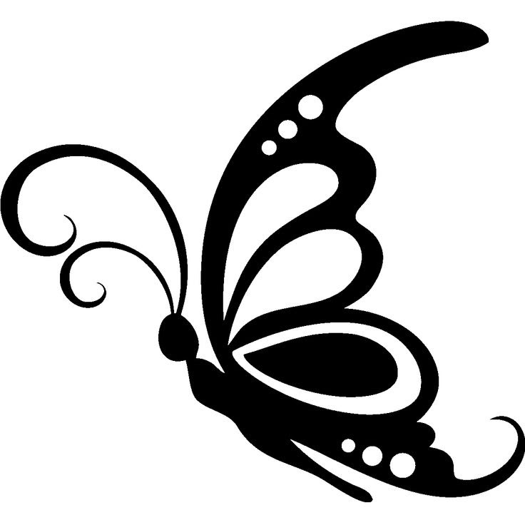 243 Butterfly Side View Svg SVG PNG EPS DXF File
