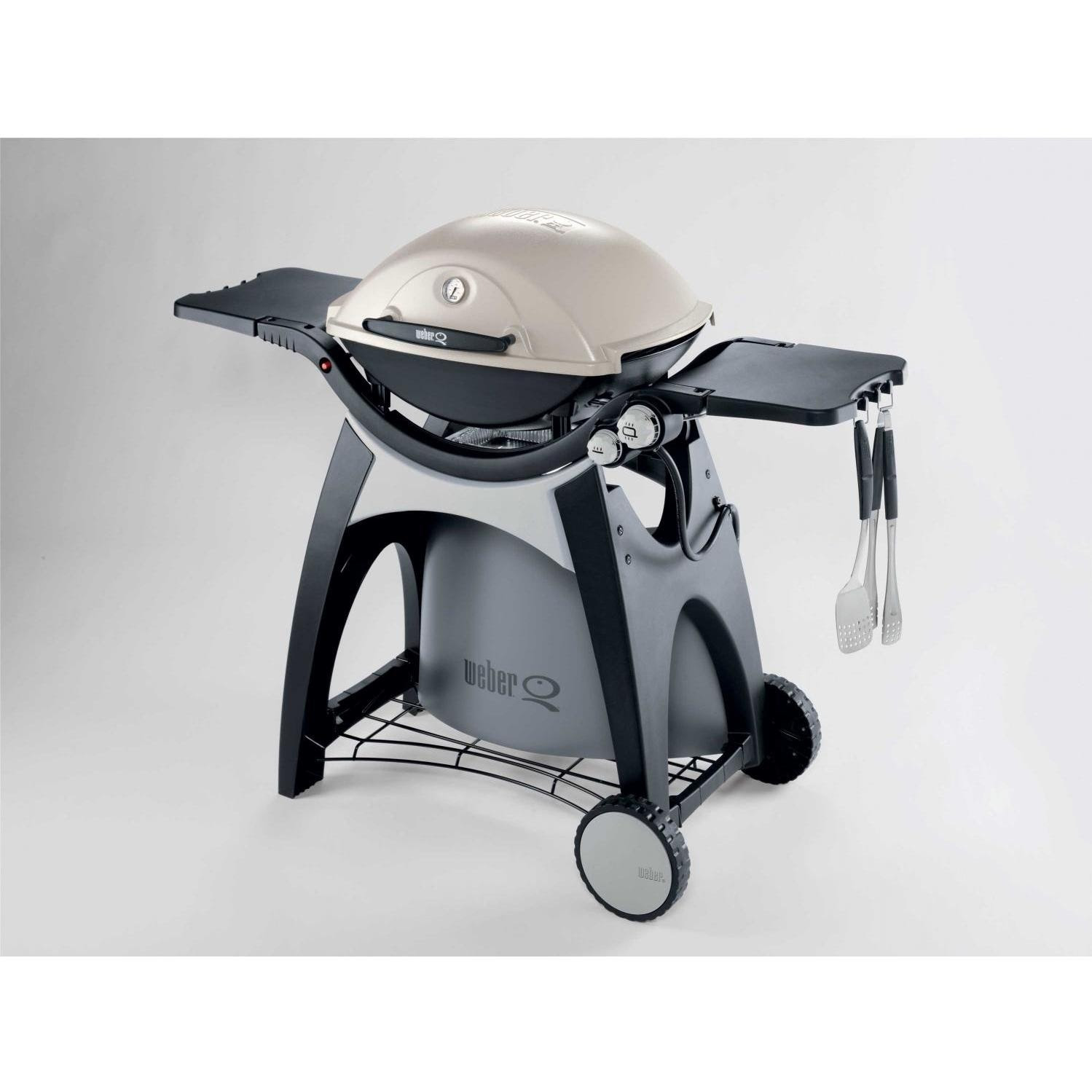 Weber Q300