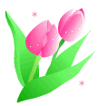 tulipisblooming