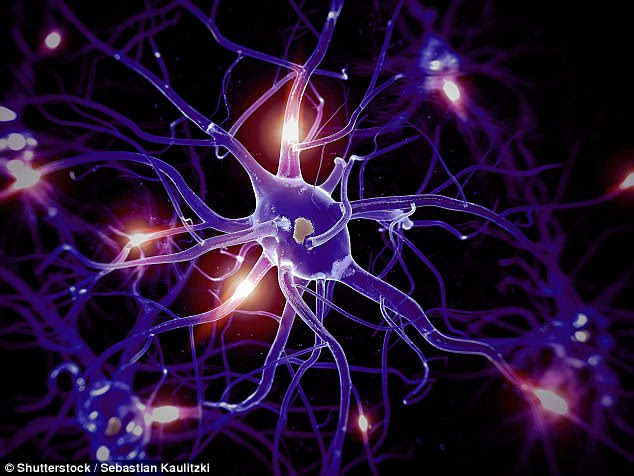 Using music to learn a physical task significantly develops an important part of the brain, according to a study. Pictured is artwork of neurons