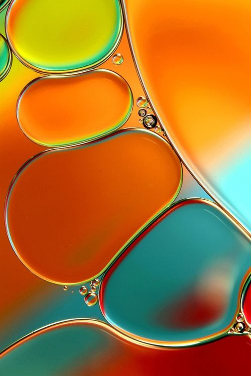 macro photography 13
