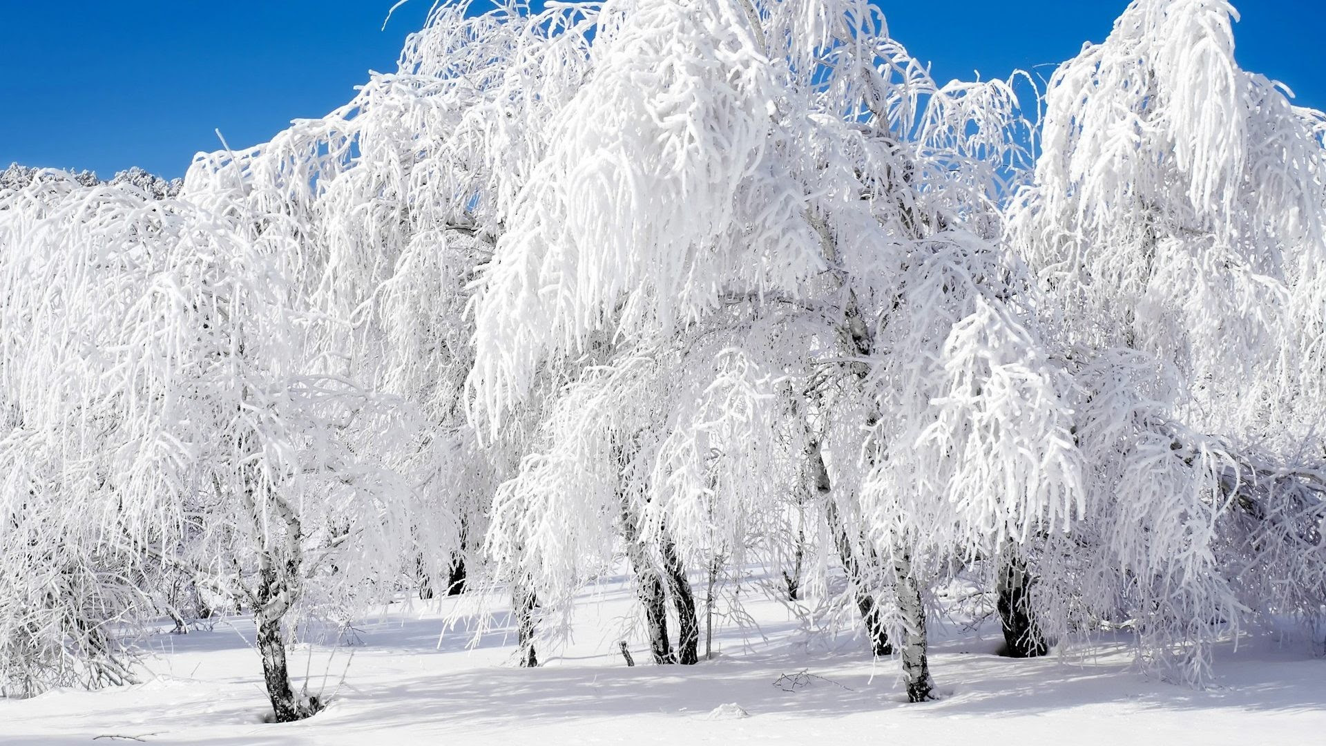 Ipad Wallpaper Winter Scenes Free - Nature Wallpaper