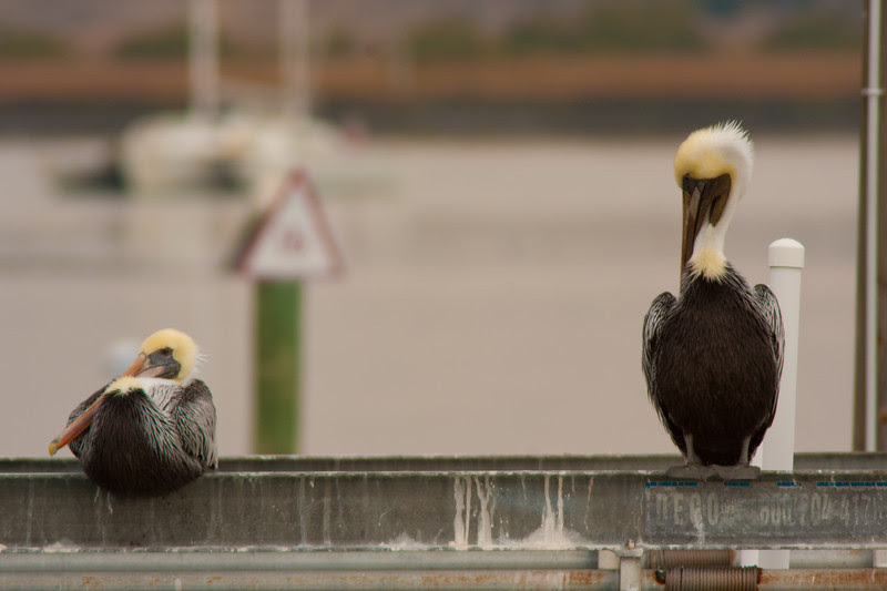 Photo & Video Sharing by SmugMug Photo & Video Sharing by SmugMug