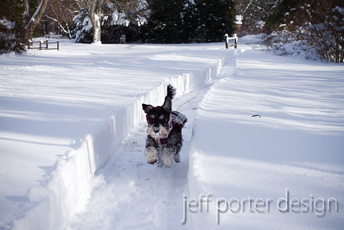 13-01WinterLou11