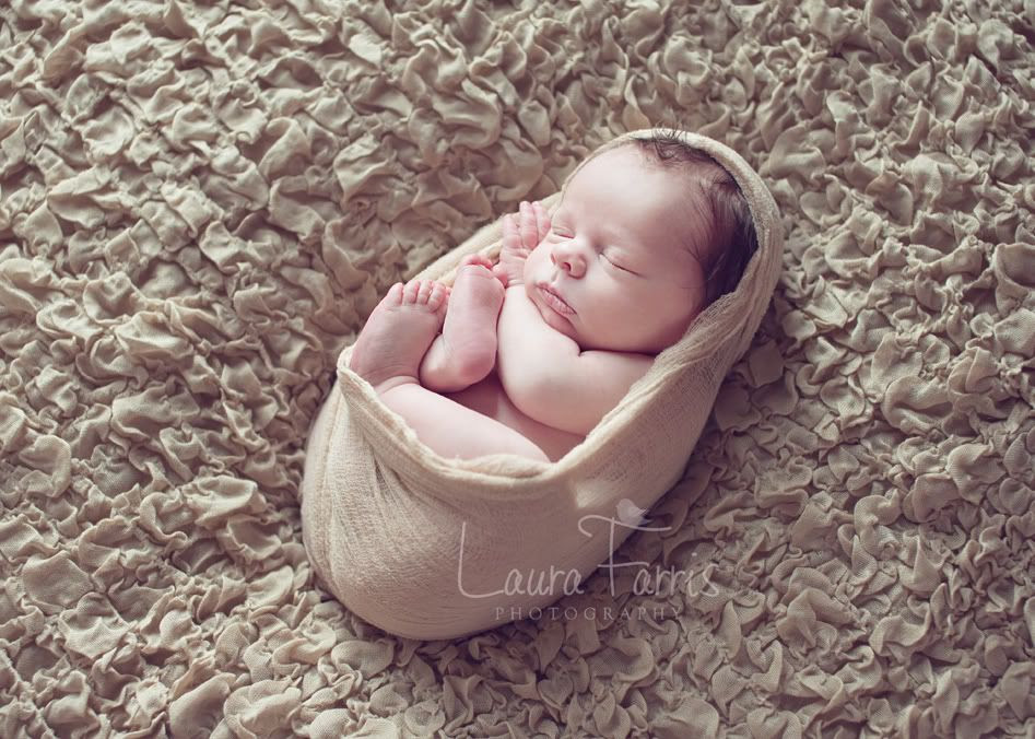 Boise newborn photographer