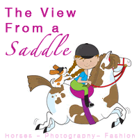 The View From a Saddle