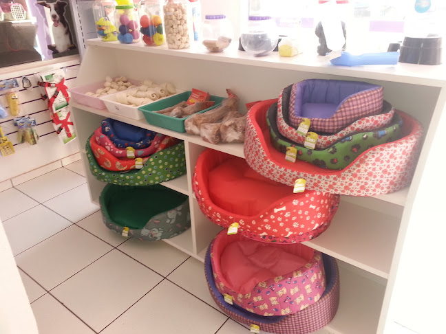 Avaliações sobre Petlife Petshop em Campo Grande - Veterinário