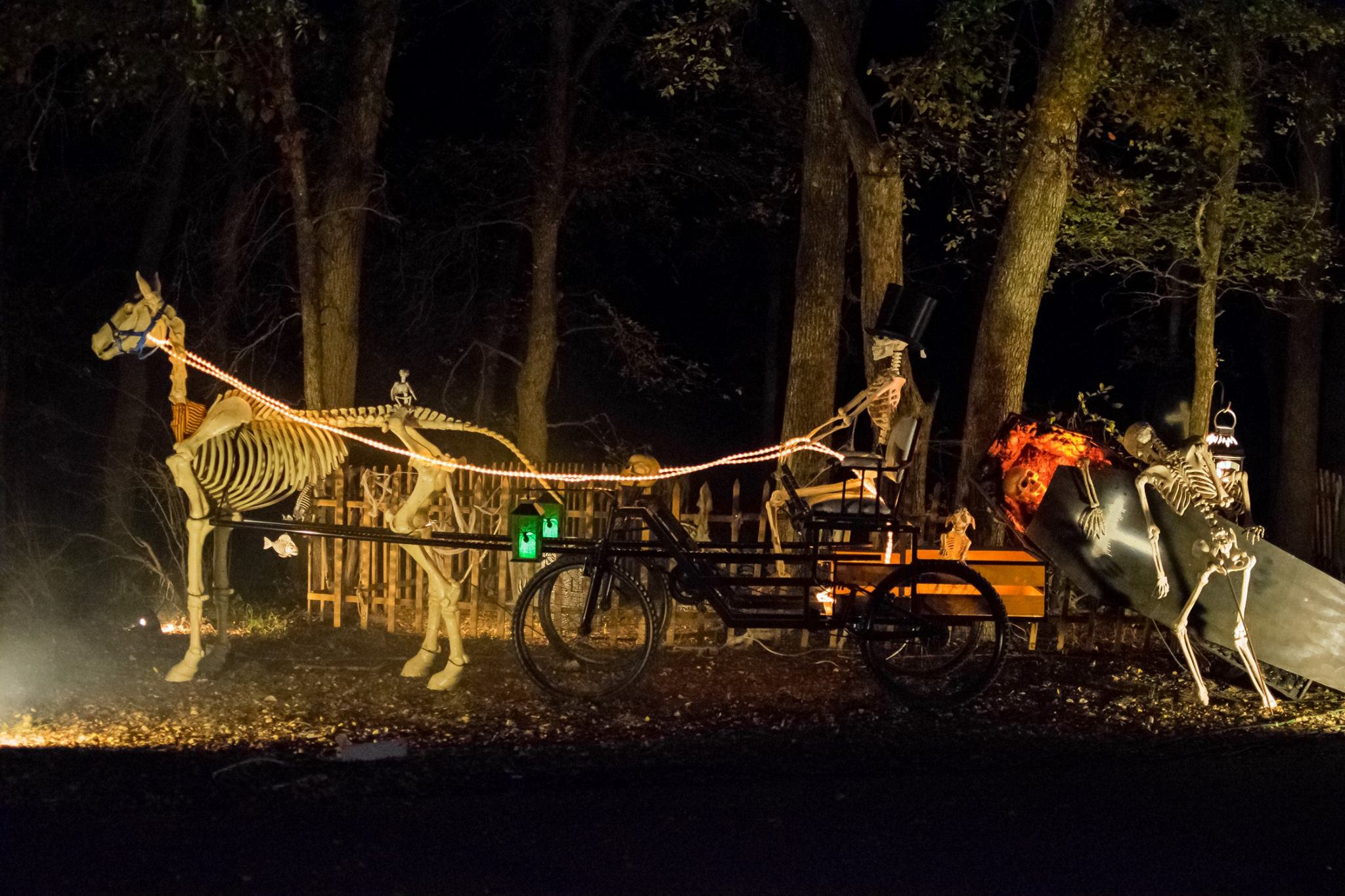 Loyd Park Halloween 2020 Christmas 2020