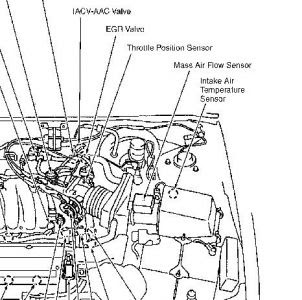 1996 Nissan Maxima Engine Diagram - Wiring Diagram Schemas