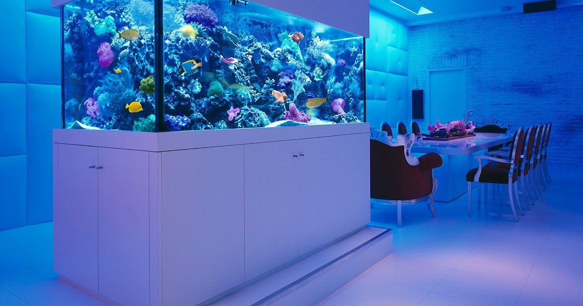 Stylish Home Design Ideas: Ideas For Small Fish Tanks