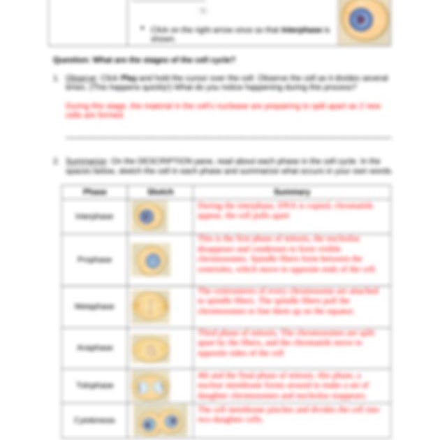 cell-division-gizmo-answer-key-cell-division-gizmo-answer-key-pdf-cell-division-gizmo