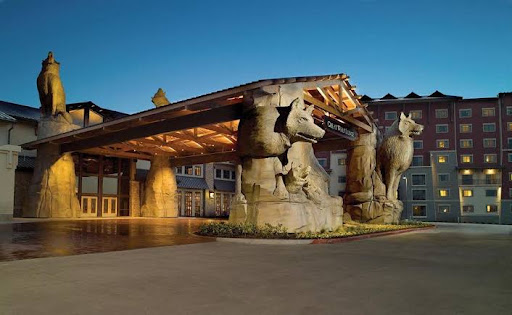 Resort «Great Wolf Lodge», reviews and photos, 100 Great Wolf Dr, Grapevine, TX 76051, USA