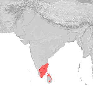 Tamil Verbreitung.png