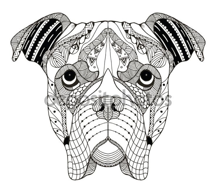 Download 60+ Boxer Dog Coloring Pages PNG PDF File
