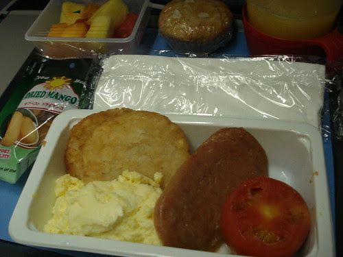 delta airlines