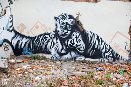 Unknown