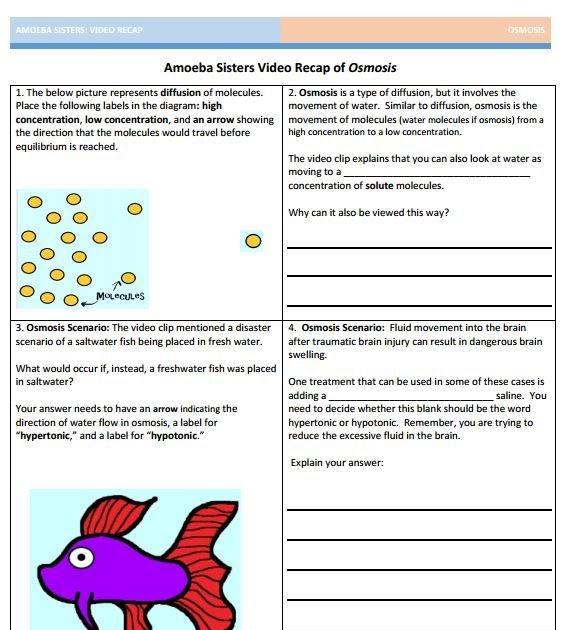 osmosis-and-tonicity-practice-worksheet-answer-key-athens-mutual-student-corner