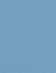 10-blueberry_JPEG_solid_TINY_DOT_standard_350dpi_standard_melstampz