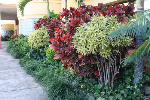 Hospital Cima landscaping