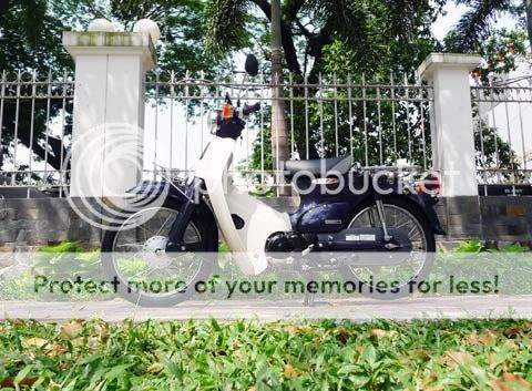 Lịch sử của Honda Cub và phân biệt các đời Honda Cub Lịch sử của Honda Cub và phân biệt các đời Honda Cub