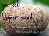 you rock award