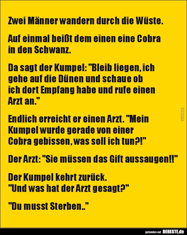 Lustige Bilder Ehemänner