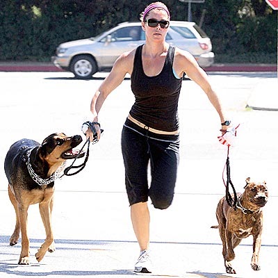 Jessica Biel and her large body guards/dogs, Funny Pictures, Cute Photos