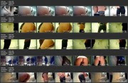 WC 2307-2311 (Hidden Camera in Female Restaurant Toilet)