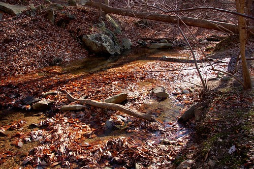 Patapsco State Park