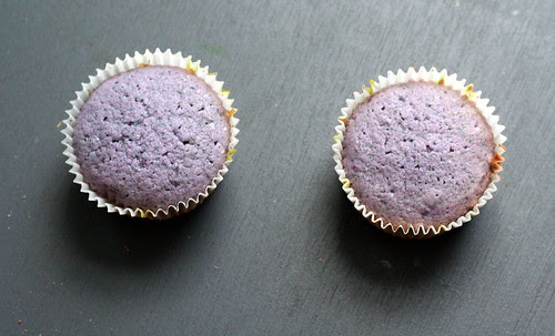 Baa Baa, Cupcake, Have You Any Frosting?: Blueberry Bliss