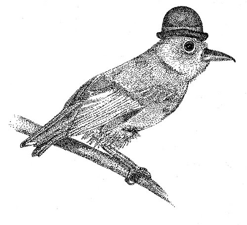 Mr J M Byrd, esq.