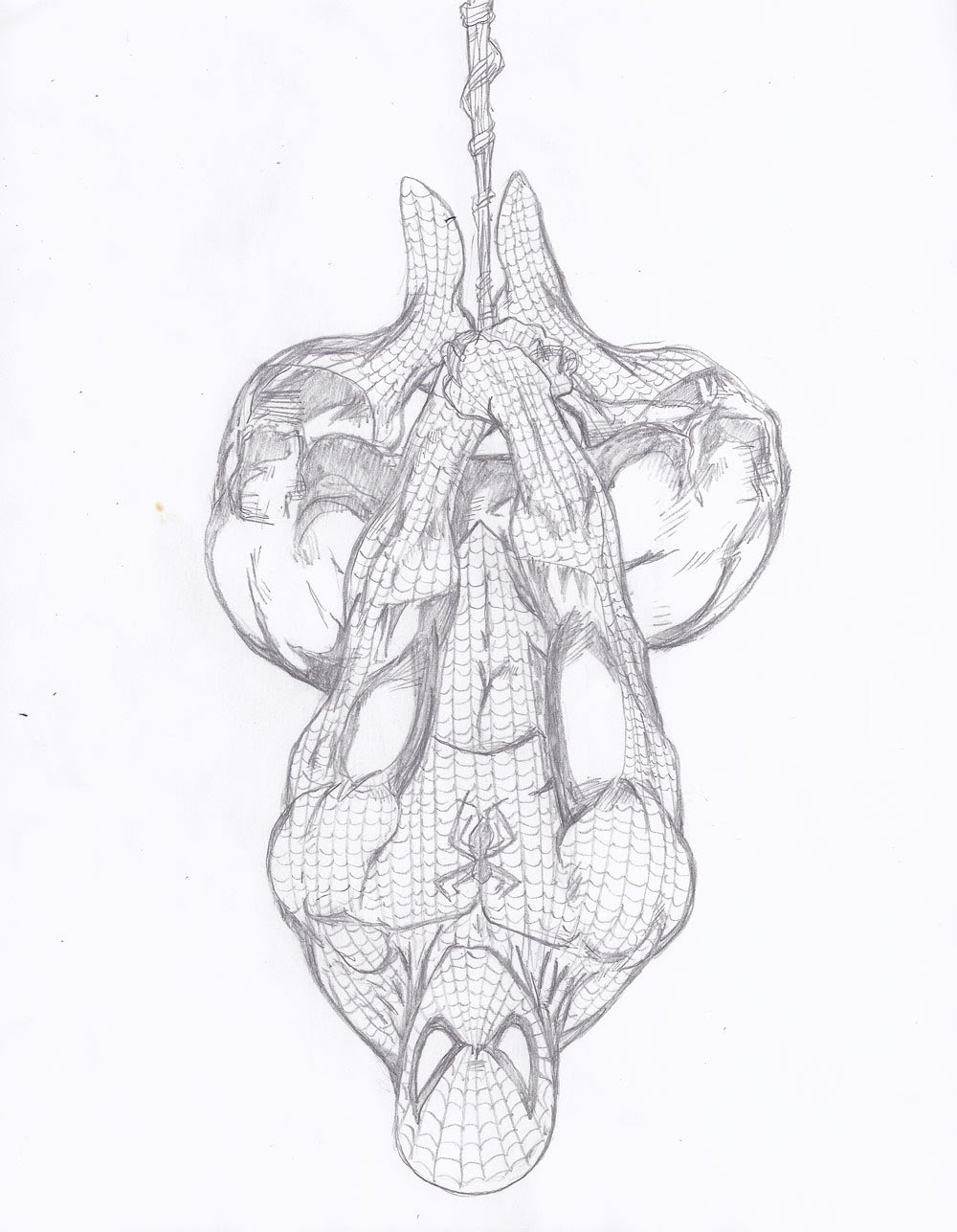 Featured image of post Spiderman Hanging Upside Down Drawing Easy